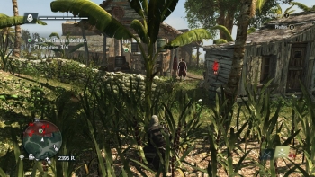 Assassin's Creed 4 Screenshot